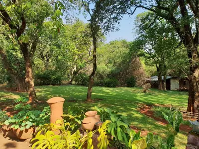 a garden with a yard with trees and plants at Thathe Dam Lodge in Vhutandabos