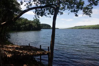 a view of a body of water with a tree at Thathe Dam Lodge in Vhutandabos