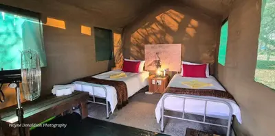 a small room with two beds and a piano at NDZUTI BUSH CAMP in Balule Game Reserve
