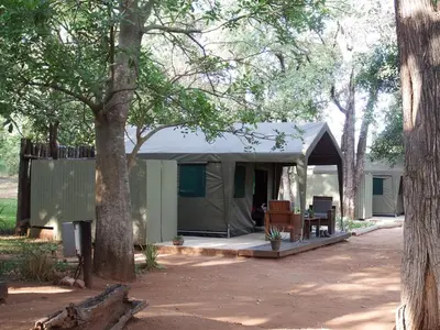 a green tent in the middle of trees at NDZUTI BUSH CAMP in Balule Game Reserve