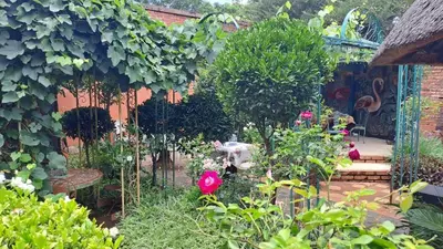 a garden with a bunch of plants and flowers at Duck and Dine in Pretoria