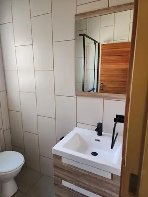 a bathroom with a white sink and a toilet at Lloyds - 6 in Ermelo