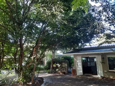 a house with a tree in front of it at Nel's Cottage, a private and peaceful cottage in Benoni