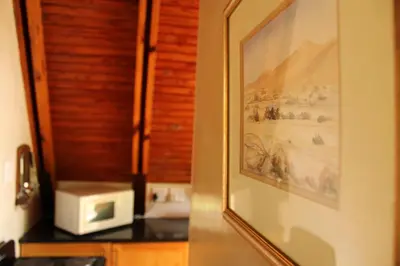 a microwave sitting on a counter next to a painting at Serenity Graskop, 3 bedroom A-Frame cottage in Graskop