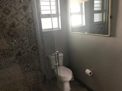 a bathroom with a toilet and a mirror at Blue Lotus Guest House Pta East-Solar power in Pretoria