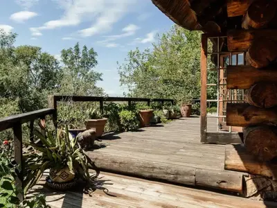 a wooden deck with potted plants on it at Stone cottage in Haarties in Kalkheuvel